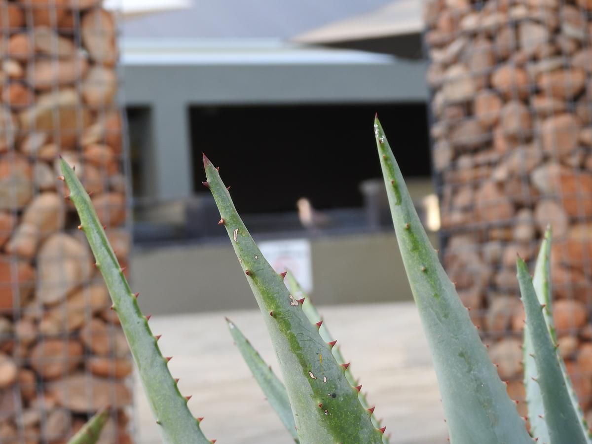 The Featherbed - Oudtshoorn Exterior foto